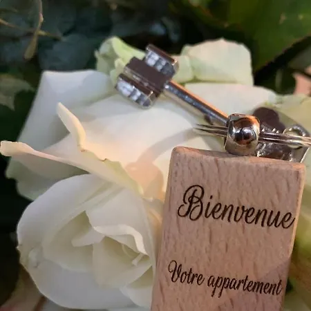 Cosy Et Calme En Hyper Centre - La Cour Des Bois Apartman